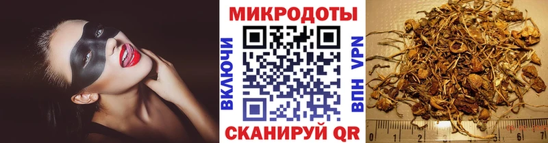 Галлюциногенные грибы мухоморы Избербаш